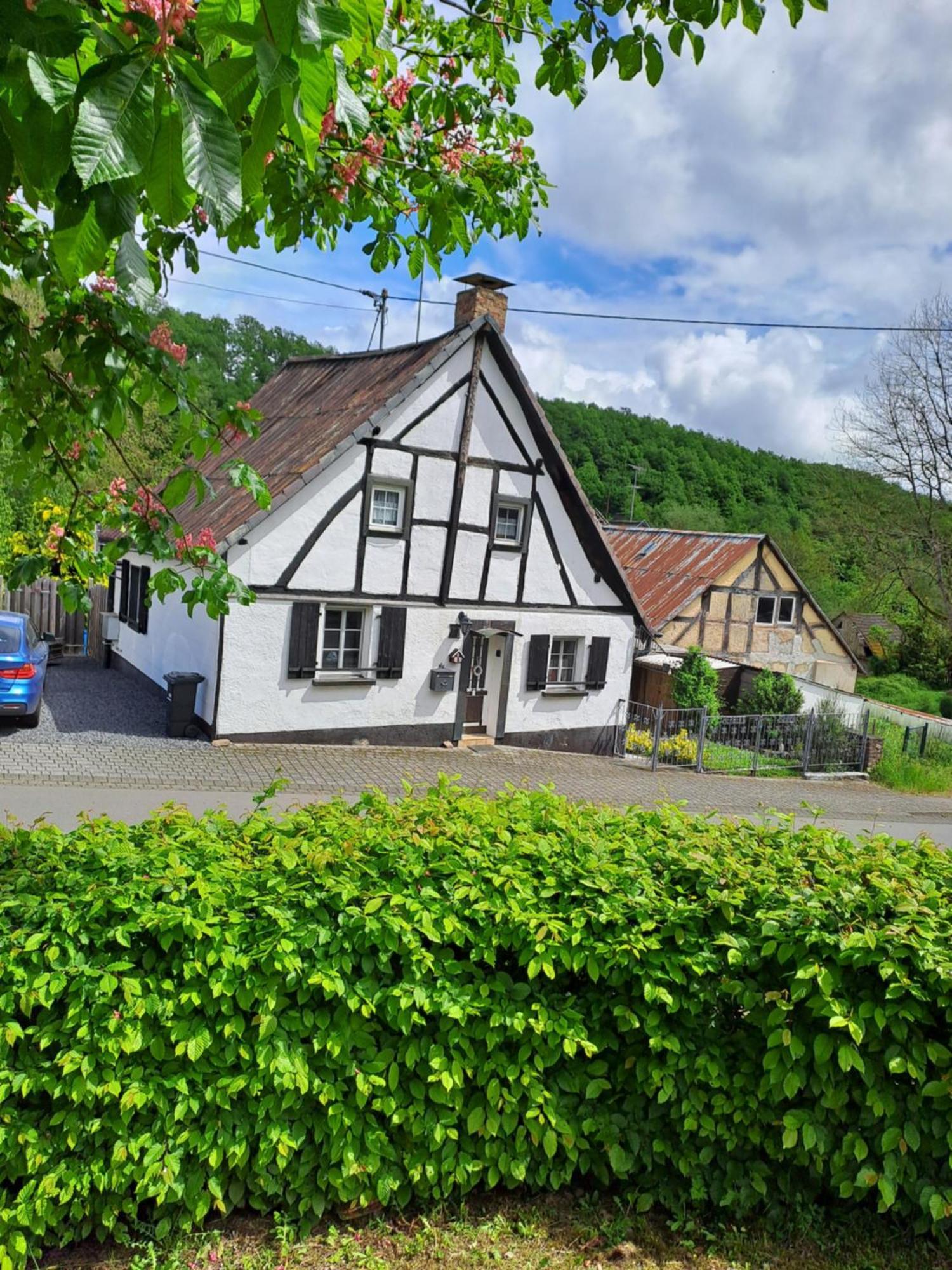 Demerath Landhaus Eifel מראה חיצוני תמונה